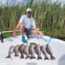 Marsh Redfish Pursuit