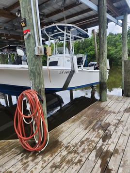 Marsh Redfish Pursuit