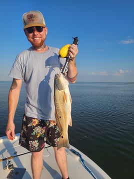 Marsh Redfish Pursuit