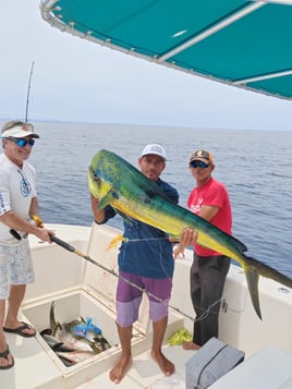 "The Tuna Coast"  All Inclusive 4 Fishing Days / 5 Nights