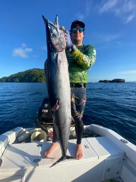 Wahoo Fishing in Malena, Panama