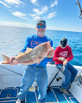 Red Snapper Baby!