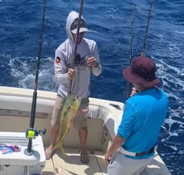 Mahi Mahi Fishing in Pompano Beach, Florida