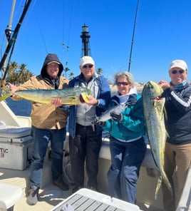 Mahi Mahi Fishing in Pompano Beach, Florida