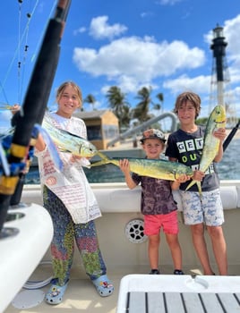 Mahi Mahi Fishing in Pompano Beach, Florida