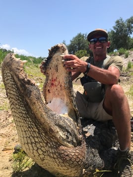 Alligator Hunting in Zolfo Springs, Florida