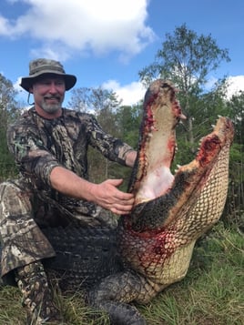 Alligator Hunting in Zolfo Springs, Florida