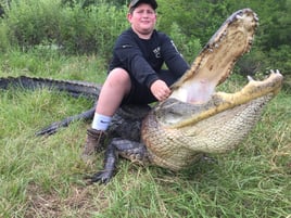 Alligator Hunting in Zolfo Springs, Florida