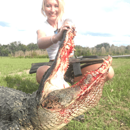 Alligator Hunting in Zolfo Springs, Florida