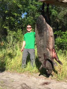 Hog Hunting in Zolfo Springs, Florida