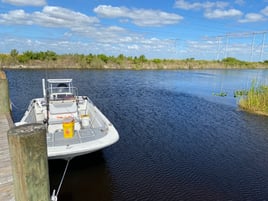 Florida gar