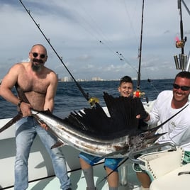 Sailfish Fishing in Miami Beach, Florida