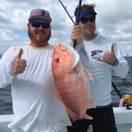 Red Snapper Fishing in Miami Beach, Florida