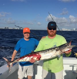 Wahoo Fishing in Miami Beach, Florida