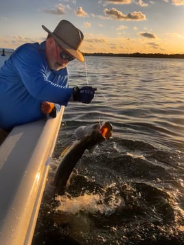 Tarpon Fishing in Key West, Florida