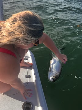 Tarpon Fishing in Key West, Florida