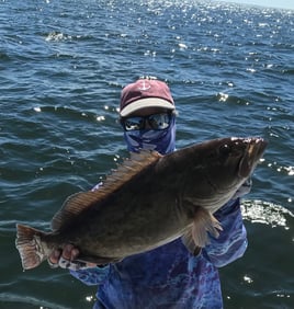 Gag Grouper Fishing in Tampa, Florida