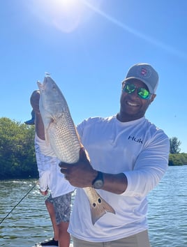 Redfish Fishing in Tampa, Florida