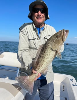 Gag Grouper Fishing in Tampa, Florida