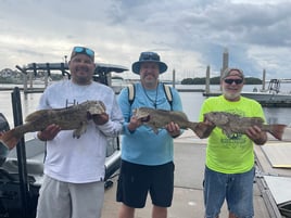 Gag Grouper Fishing in Tampa, Florida