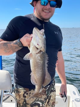 Gag Grouper Fishing in Tampa, Florida