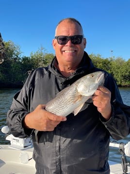 Redfish Fishing in Tampa, Florida