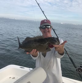 Gag Grouper Fishing in Tampa, Florida