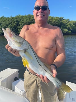 Snook Fishing in Tampa, Florida