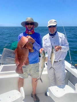 Snowy Grouper, Spanish Mackerel Fishing in Puerto Vallarta, Mexico