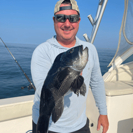 Black Seabass Fishing in Hampton Bays, New York