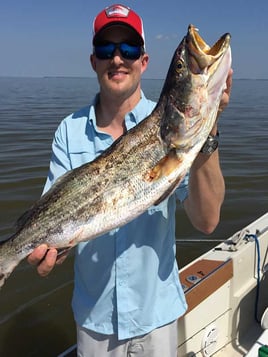 Bay Trip - 25' Boston Whaler