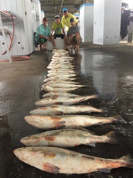 Bay Trip - 25' Boston Whaler