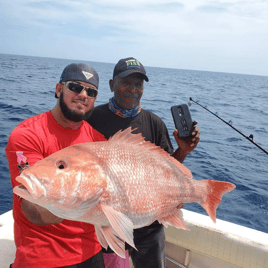 Clearwater Red Snapper Trip