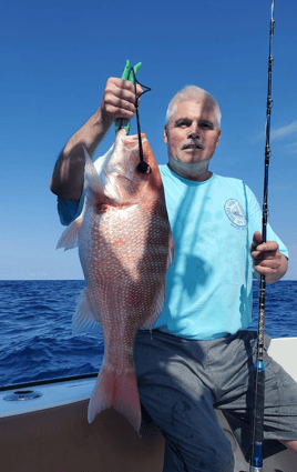 Cape Horn Red Snapper - Only