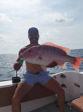 Cape Horn Red Snapper - Only