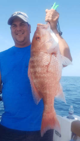 Cape Horn Red Snapper - Only