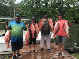 Pensacola Red Snapper Frenzy