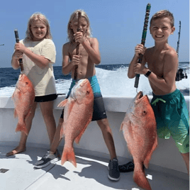 Destin Red Snapper Mania - 10-12 Hrs