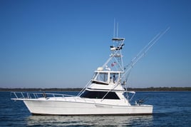 Live Red Snapper Action - 48' Viking