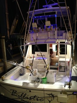 Live Red Snapper Action - 48' Viking