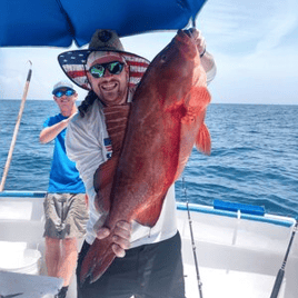 Live Red Snapper Action - 48' Viking