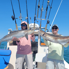 Cobia Adventure