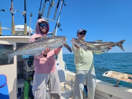 Cobia Adventure