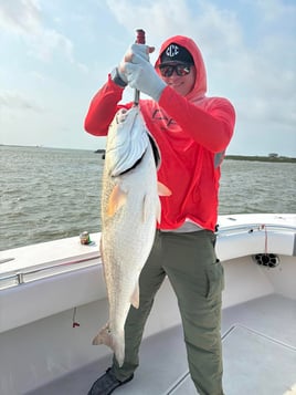 POC Jetties and Bay Fishing