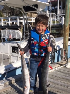 3/4 Day King Mackerel