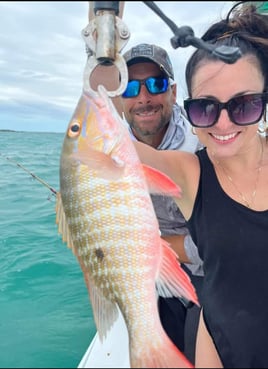 Mutton Snapper Fishing in Summerland Key, Florida