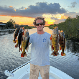 Peacock Bass + Iguana Cast & Blast