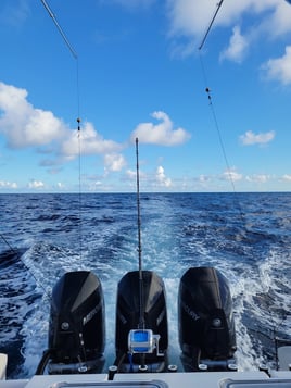 Offshore Trolling and Bottom Fishing