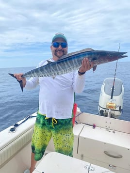 Offshore Trolling and Bottom Fishing