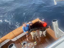 Luxury Offshore Sportfishing